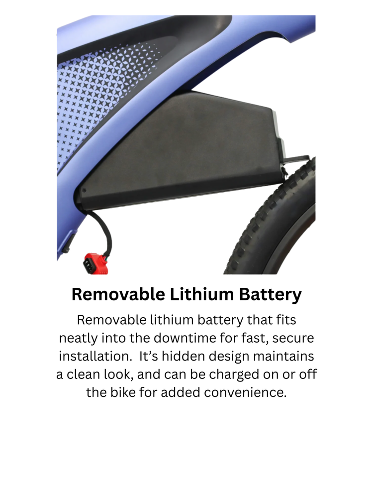 Removable lithium battery for electric vehicles or devices.